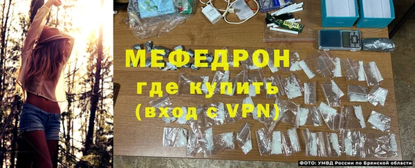 мдпв Богородск