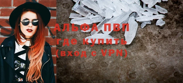 прущие грибы Богданович