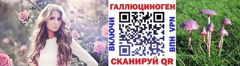 kraken вход  Высоцк  Псилоцибиновые грибы ЛСД  площадка как зайти  купить наркоту 